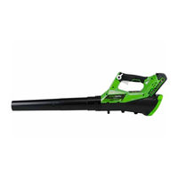 Greenworks 2400807 User Manual