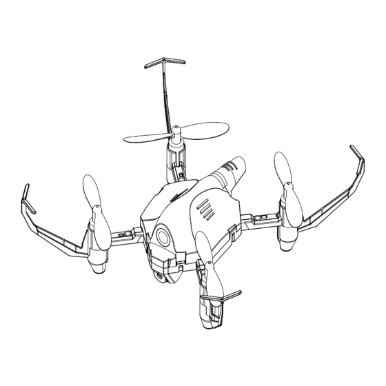 DF-models SkyWatcher Mini Race Manual