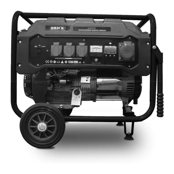 BRICK BG6000RV Portable Generator Manuals