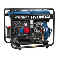 Hyundai Power Products HP7500CXE Use And Maintenance Manual