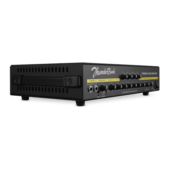 Thunderfunk Bass Amplifiers Owner's Manual