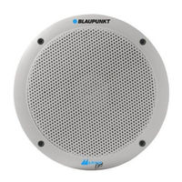 BLAUPUNKT IC 172 Marine 2-Way Coaxial Installation Instructions Manual