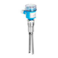Endress+Hauser FTM50 Manual