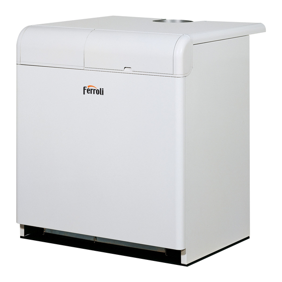 Ferroli PEGASUS LN 2S Operating, Installation And Maintenance Manual