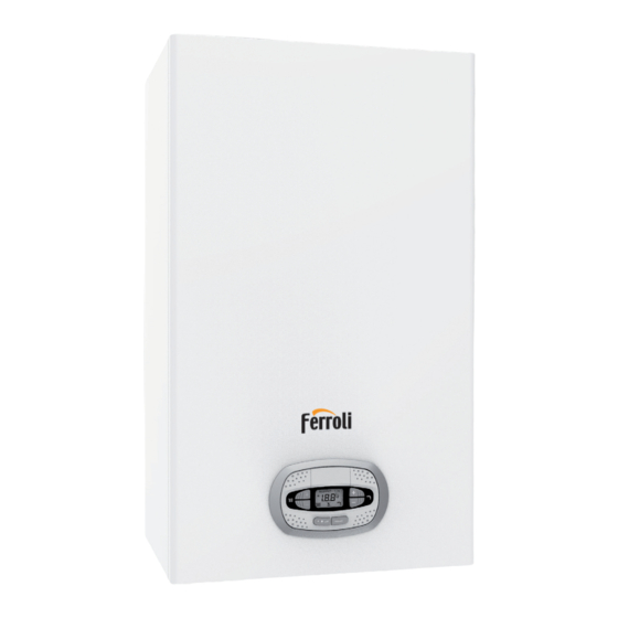 Ferroli BLUEHELIX 352 RRT 24 C Instructions For Use, Installation And Maintenence