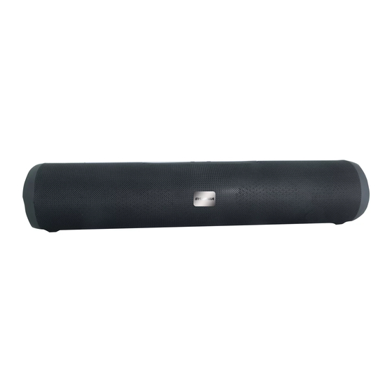 JS BASE TECHNOLOGY SP667 Manual
