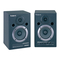 Roland DM-10 - Digital Stereo Micro Monitor Manual