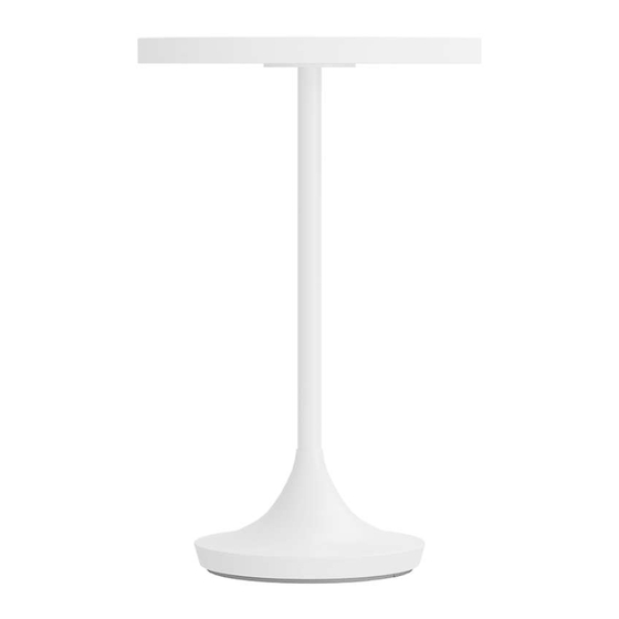 Crate&Barrel Emme Side Table Manual