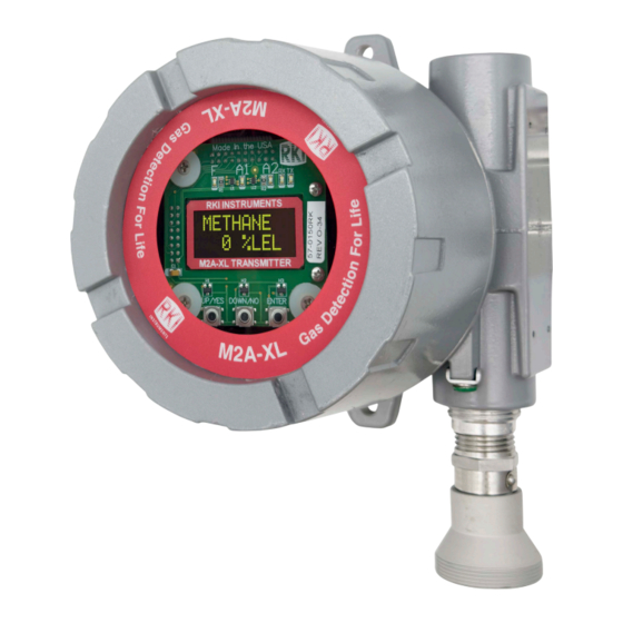 RKI Instruments 65-2649XL-HC-04 Operator's Manual