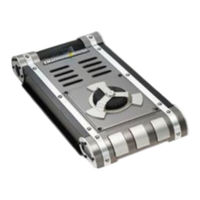 Lightning Audio Storm S1.1000D Owner's Manual