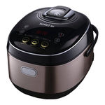 Midea MB-FZ15IH Instruction Manual