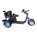 FAT TIRE GOLF SCOOTER Rebel Trike XR Owner's Manual