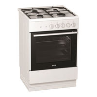 Gorenje G611E17WKA Detailed Instructions