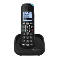 Amplicomms BigTel 1502 User Manual