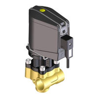 Braglia 202.1510.9 Installation, Use And Maintenance Manual
