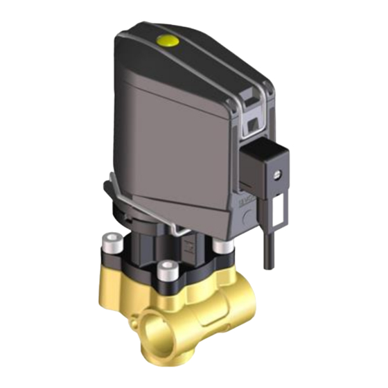User Manuals: Braglia M202 Pressure Regulator