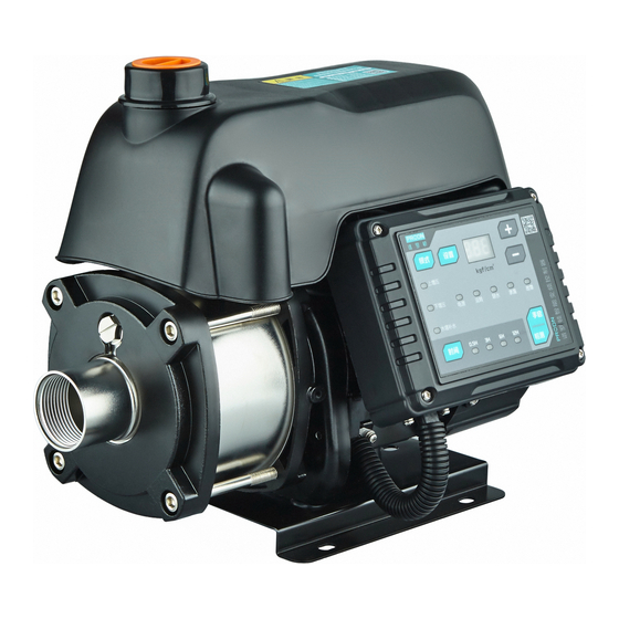 RPS Tankless Pressure Pump TP750 User Manual
