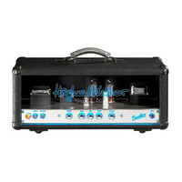 Hughes & Kettner Puretone Manual