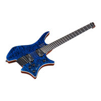 Boss VG-STRANDBERG V-BDN Owner's Manual