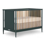 DOM FAMILY Clover 670 Manual