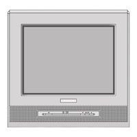 Grundig Davio 20 T 51-4501 Text Manual