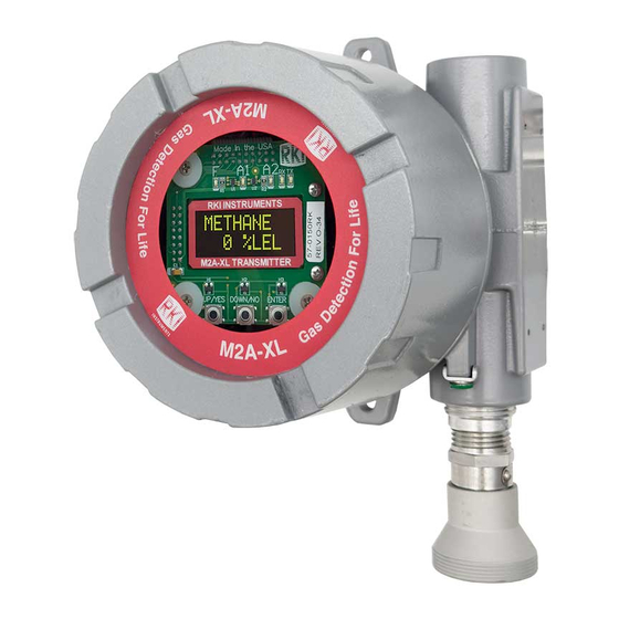 RKI Instruments 65-2643XL-05-04 Operator's Manual