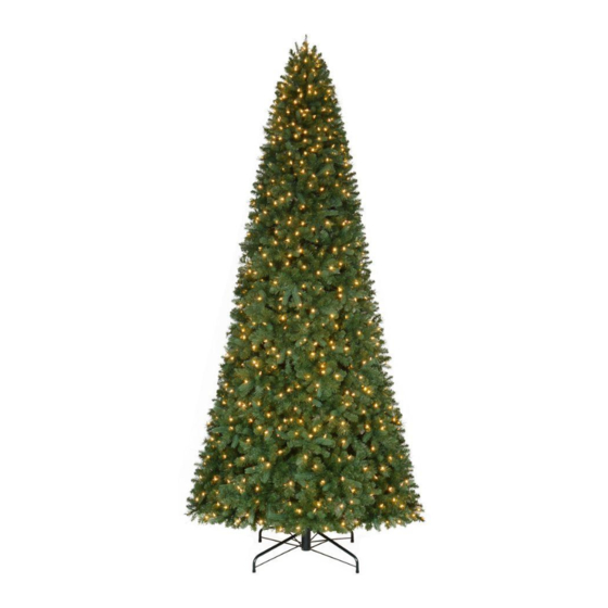 Home Accents Holiday TGC0P5402L01 Manual