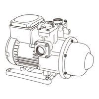 Walrus Pump Co., Ltd. HQ800H Instruction Manual