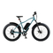 Retrospec Koa Rev - Electric Bike Manual