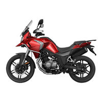 CyClone RX6 User Manual