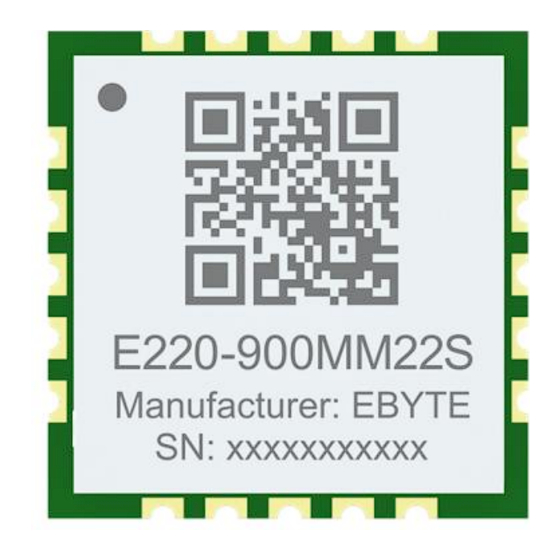 Ebyte E220-900MM22S Manual