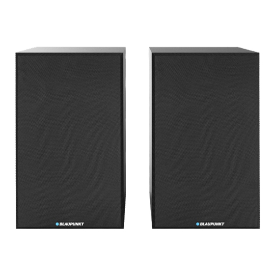 Blaupunkt BS40BK Owner's Manual