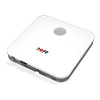 Popp 011801 Manual