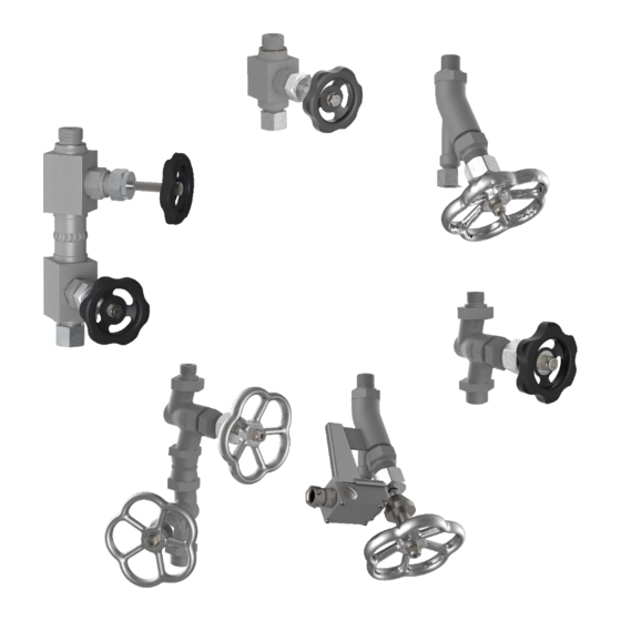 Igema AV250 Installation And Operating Instructions Manual