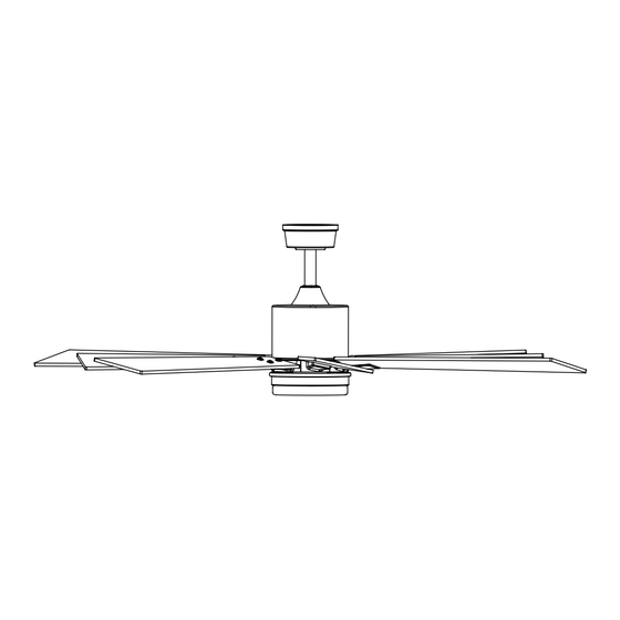 aireRyder F0081 Manual