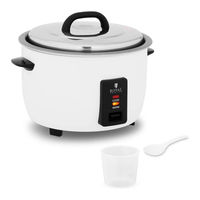 Royal Catering RCRK-19L User Manual