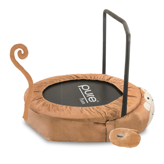 Pure Fun 9028MJ Product Manual
