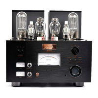 Line Magnetic LM-219IA Manual