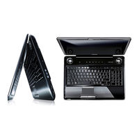 Toshiba SATELLITE PRO P300 User Manual