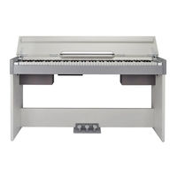 Medeli Cdp5000b Owner's Manual