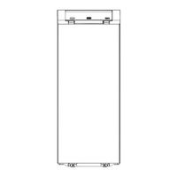 Riello GITRE LN Installation And Maintenance Manual