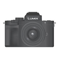 Panasonic Lumix DC-G110 Operating Instructions Manual