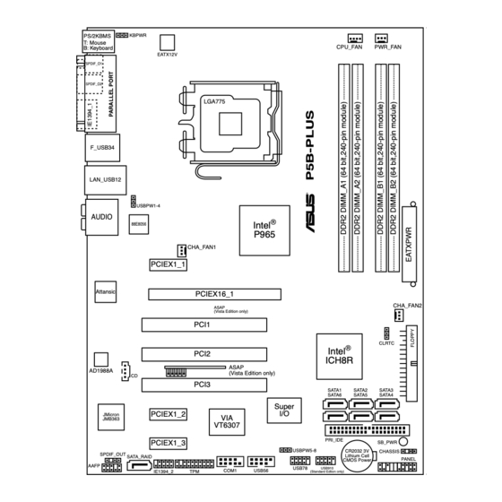 Asus P5B-PLUS Installation Manual