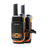 POFUNG F19 Manual