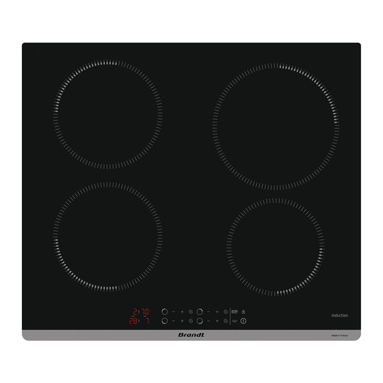 Brandt BPI1641PB Instruction Manual