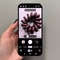 How to Take Macro Photos on Google Pixel 10 Pro: Macro Focus Guide