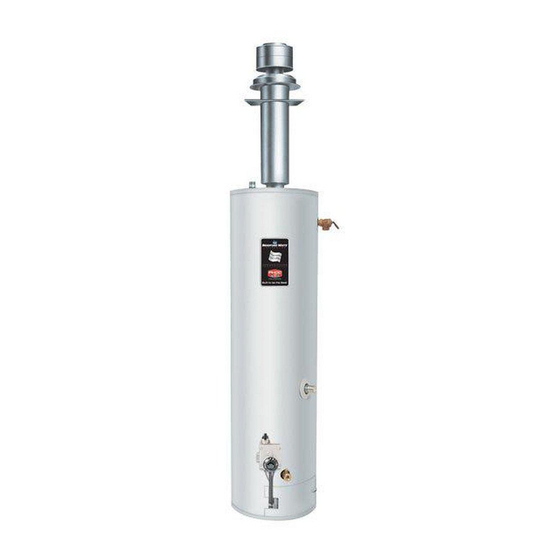 Bradford White RG2DVMH30T6X Instruction Manual