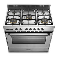DeLonghi DSR 927 GX User & Installation Instructions Manual