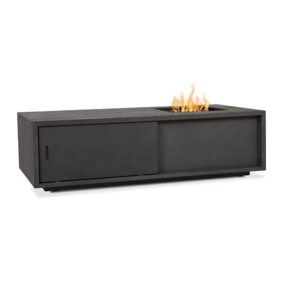 RealFlame C580LP Owner's Manual