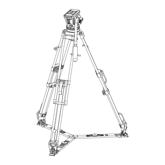 Secced SC-Video-10/100VP Operator's Manual